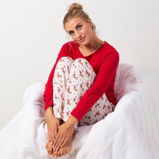 Hovedbilde Trofe Dachshound Pyjamas